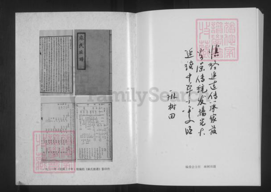 山西省大同市浑源县麻氏族谱-山西浑源.麻氏族谱.pdf电子版插图5