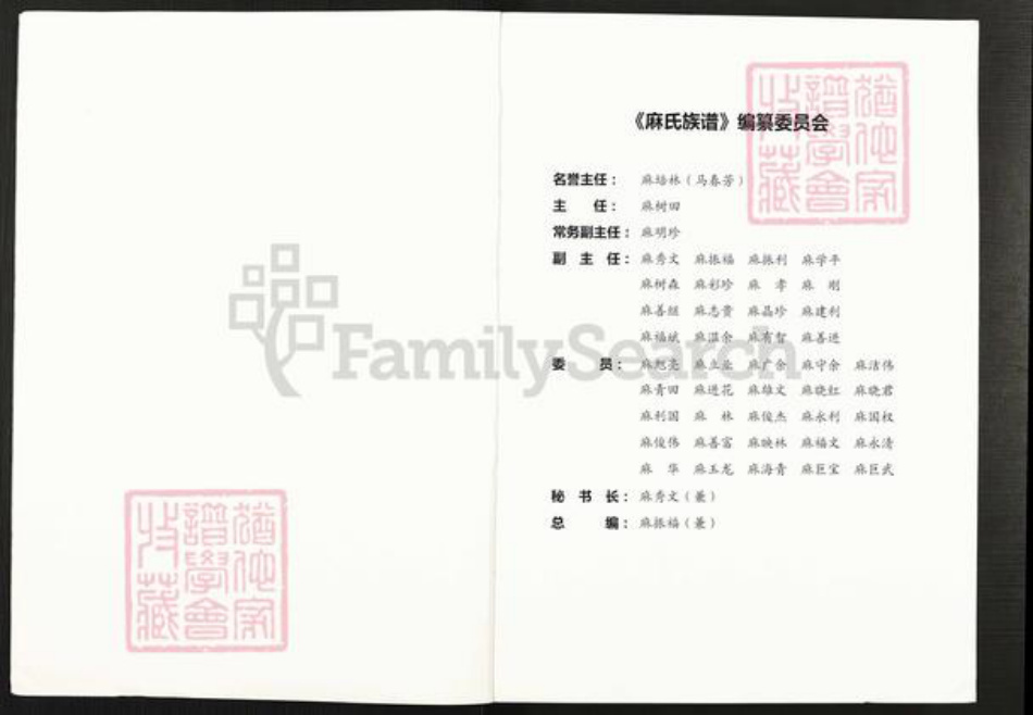 山西省大同市浑源县麻氏族谱-麻氏族谱.pdf电子版插图2 山西省大同市浑源县麻氏族谱-麻氏族谱.pdf电子版插图2