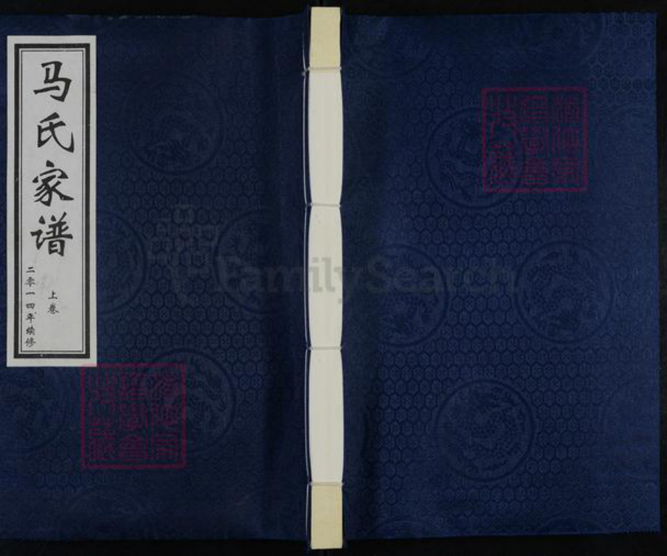 河北省廊坊市大城县权村镇马氏族谱-马氏家谱.pdf电子版插图