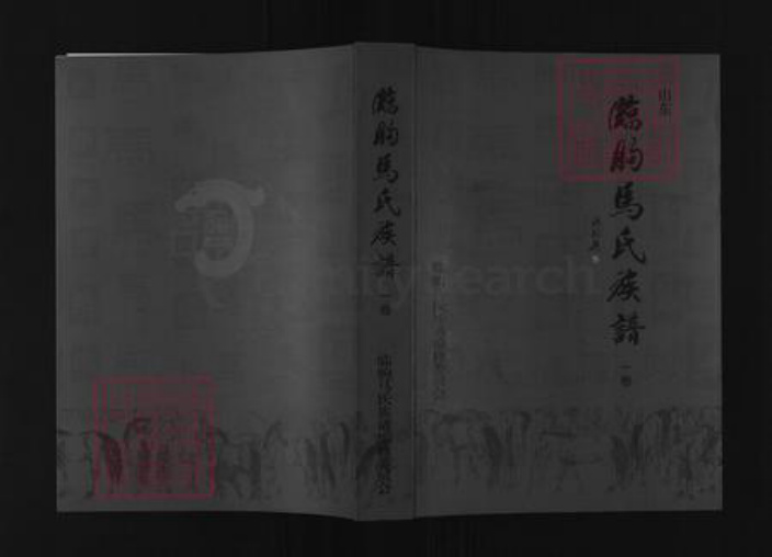 山东省潍坊市临朐县马氏族谱-山东临朐马氏族谱.pdf电子版插图