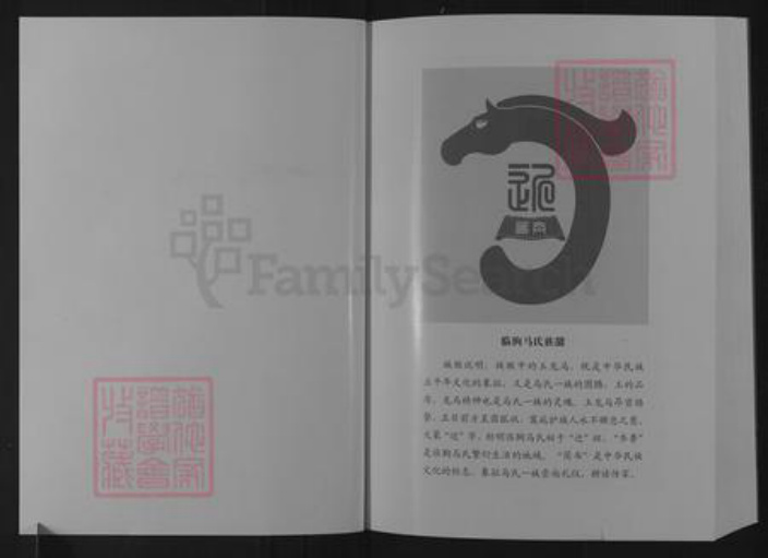 山东省潍坊市临朐县马氏族谱-山东临朐马氏族谱.pdf电子版插图2