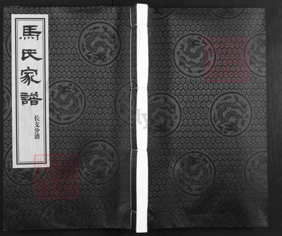 河北省沧州东光县马氏族谱-马氏家谱.pdf电子版插图