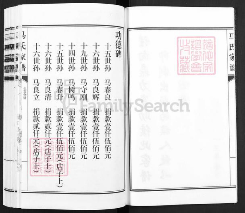 河北省沧州东光县马氏族谱-马氏家谱.pdf电子版插图3