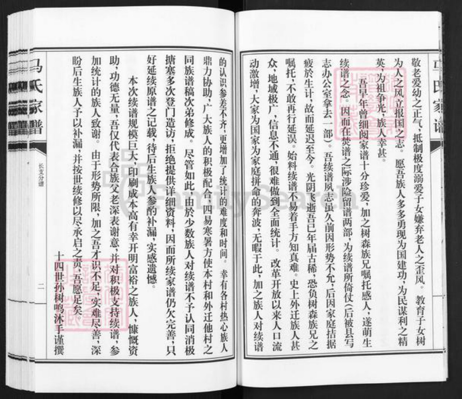 河北省沧州东光县马氏族谱-马氏家谱.pdf电子版插图4