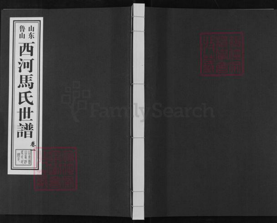 山东省淄博市淄川区马氏族谱-山东鲁山西河马氏世谱.pdf电子版插图