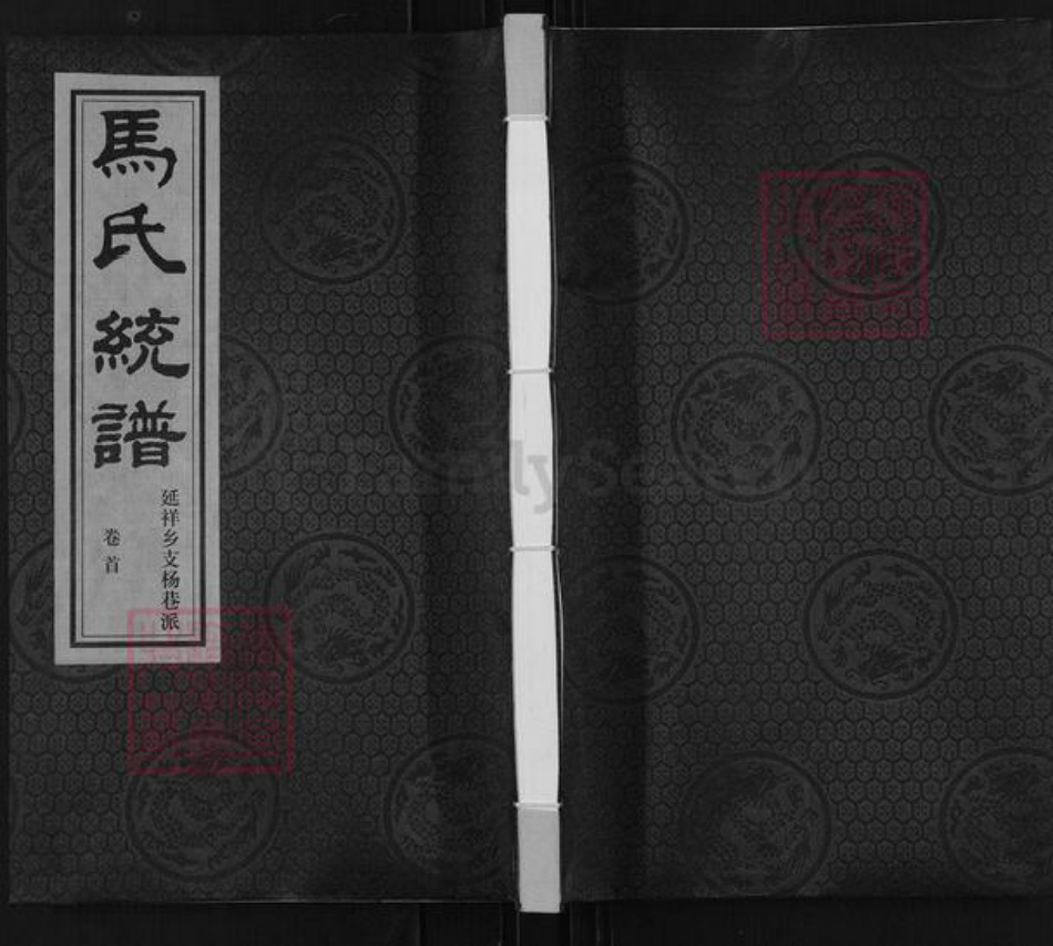 江苏省无锡市锡山区鹅湖镇马氏忠孝堂族谱-马氏统谱.延祥乡支杨巷派.pdf电子版插图
