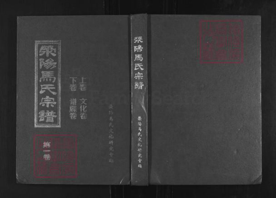 河南省郑州市荥阳市索河街道马氏族谱-荥阳马氏宗谱.pdf电子版插图