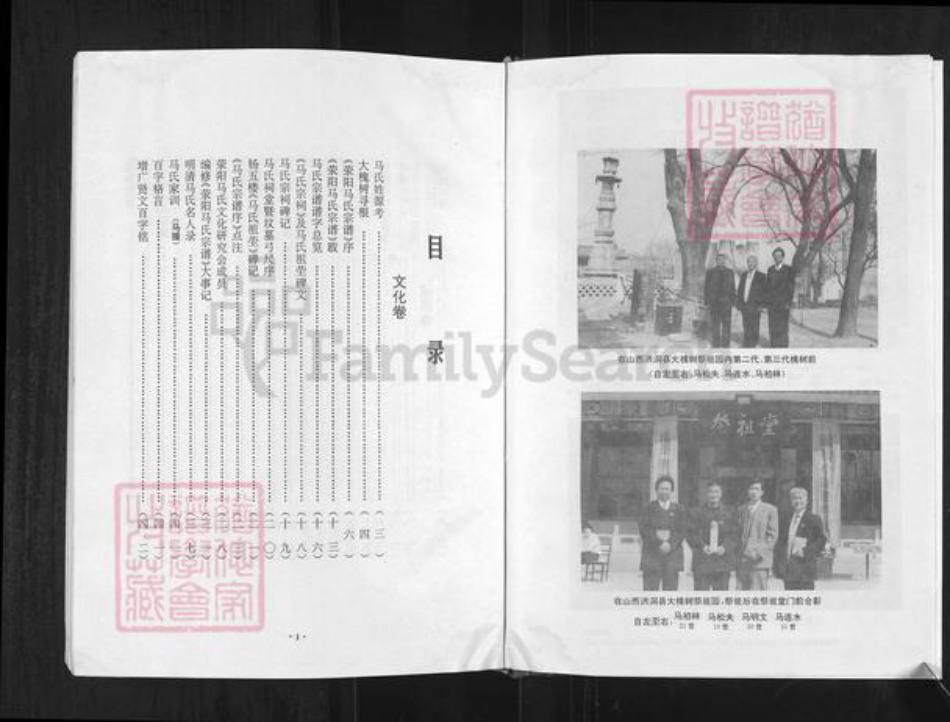 河南省郑州市荥阳市索河街道马氏族谱-荥阳马氏宗谱.pdf电子版插图4