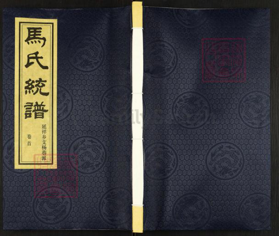 江苏省无锡市锡山区鹅湖镇马氏忠孝堂族谱-马氏统谱.延祥乡支杨巷派.pdf电子版插图