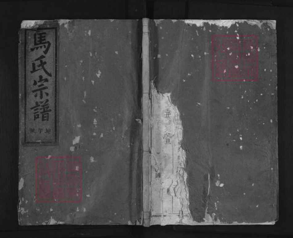 浙江省金华市浦江县马氏族谱-浦阳桑溪马氏宗谱.pdf电子版插图