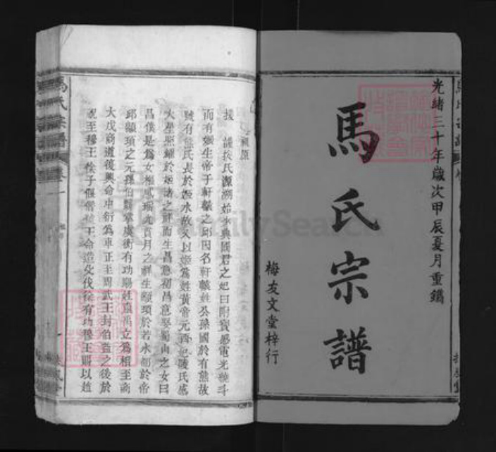 福建省龙岩市永定区马氏扶风堂族谱-马氏宗谱.pdf电子版插图1