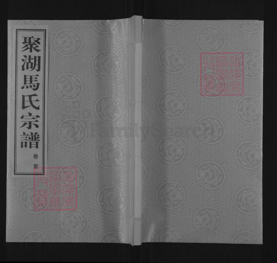 江苏省常州市武进县马氏宝善堂族谱-聚湖马氏宗谱.pdf电子版插图