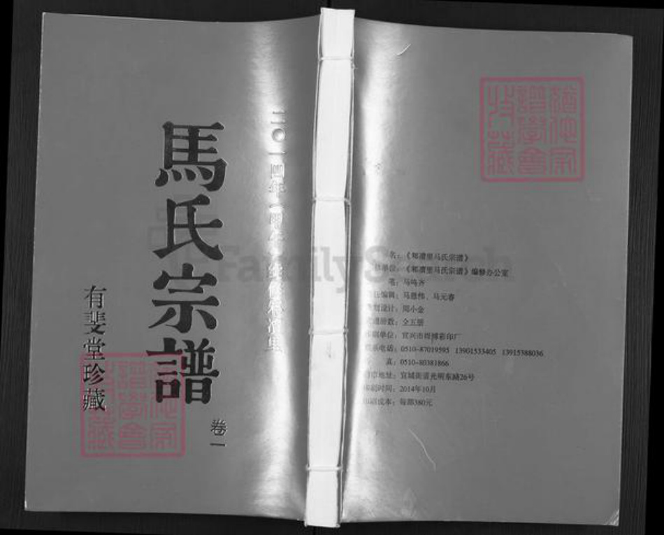 江苏省无锡市宜兴市周铁镇马氏有斐堂族谱-马氏宗谱.pdf电子版插图