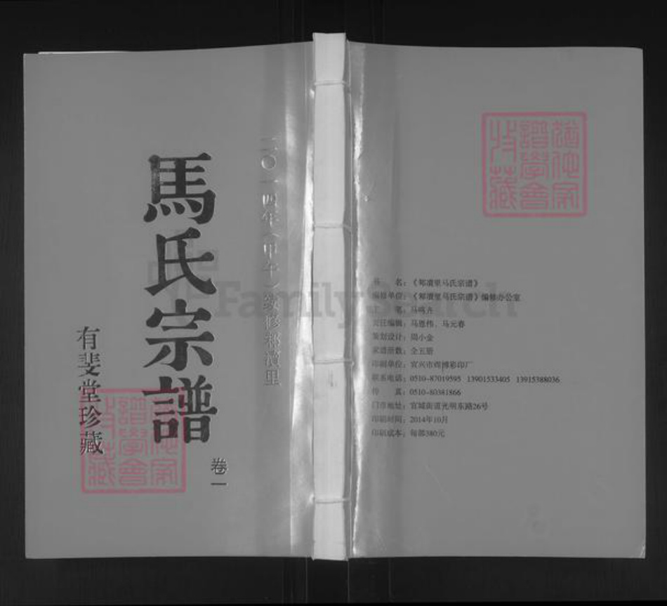 江苏省无锡市宜兴市周铁镇马氏有斐堂族谱-马氏宗谱.pdf电子版插图