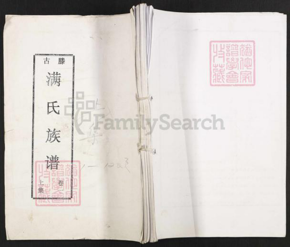 山东省枣庄市滕州市洪绪镇满氏族谱-古滕满氏族谱.pdf电子版插图