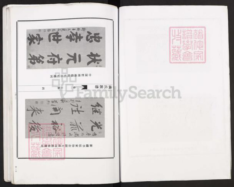 山东省枣庄市滕州市洪绪镇满氏族谱-古滕满氏族谱.pdf电子版插图4