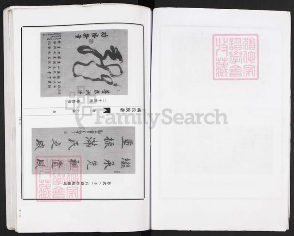 山东省枣庄市滕州市洪绪镇满氏族谱-古滕满氏族谱.pdf电子版插图5