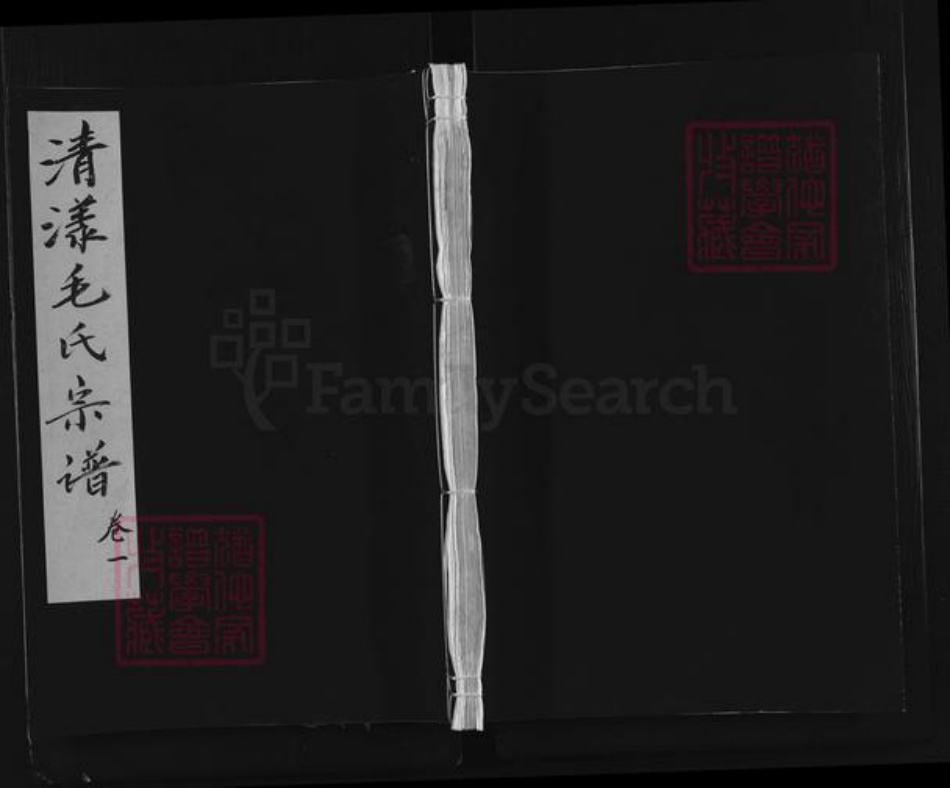 浙江省衢州江山市毛氏族谱-清漾毛氏宗谱.pdf电子版插图