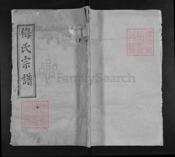 湖北省武汉市新洲区梅氏双桂堂族谱-梅氏宗谱.pdf电子版插图