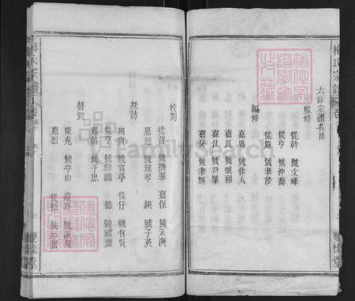 湖北省武汉市新洲区梅氏双桂堂族谱-梅氏宗谱.pdf电子版插图3