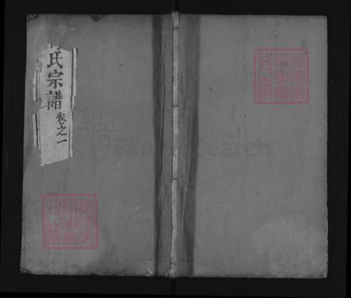 湖北省武汉市新洲区梅氏族谱-梅氏宗谱.pdf电子版插图