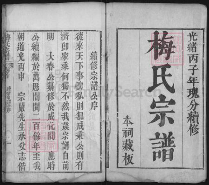 湖北省武汉市新洲区梅氏族谱-梅氏宗谱.pdf电子版插图1
