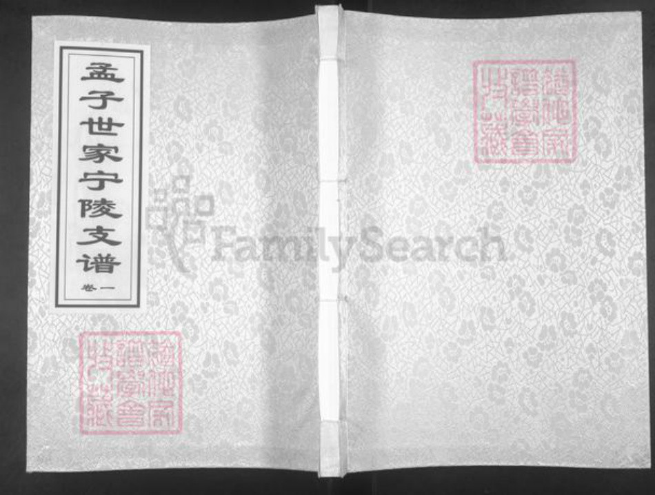 河南省商丘市宁陵县孟氏族谱-孟子世家流寓河南宁陵支谱.pdf电子版插图