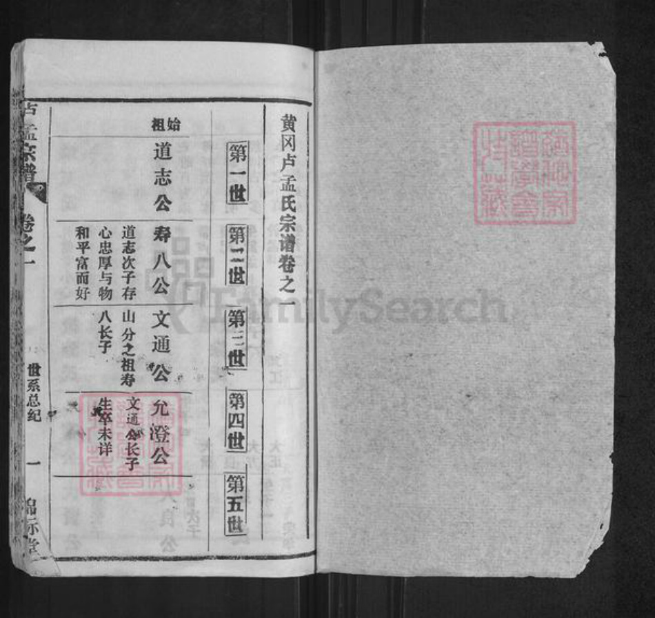 湖北省黄冈市黄州区孟氏锦标堂族谱-庐孟宗谱.pdf电子版插图1
