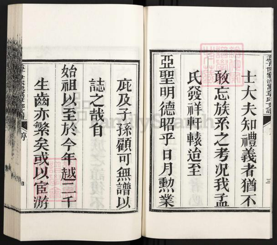 山东省济南市章丘区孟氏族谱-孟子世家流寓章邱支谱.pdf电子版插图5