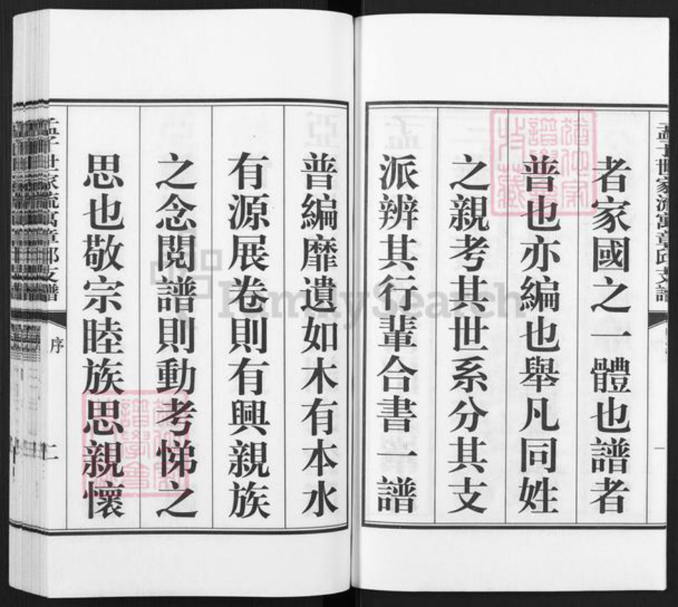 山东省济南市章丘区孟氏族谱-孟子世家流寓章邱旧军支谱.pdf电子版插图3
