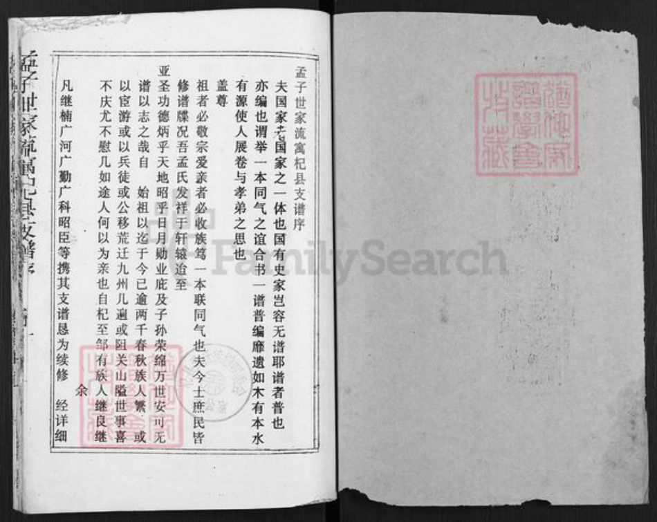 河南省开封市杞县沙沃乡孟氏族谱-孟子世家流寓杞县支谱.pdf电子版插图1