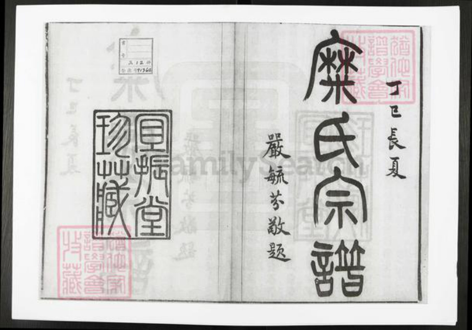江苏省常州市武进县糜氏宜振堂族谱-糜氏宗谱.pdf电子版插图1