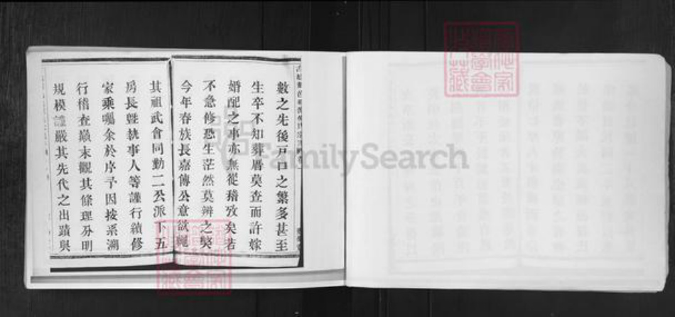 浙江省杭州市萧山区萧山倪氏勤乐堂族谱-古越萧邑桃源倪氏宗谱.pdf电子版插图3