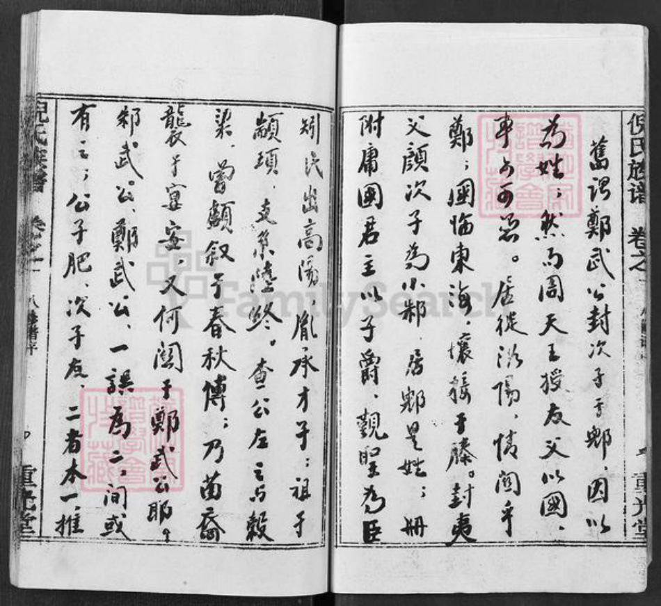 湖北省黄冈市红安县倪氏重光堂族谱-倪氏族谱.pdf电子版插图5