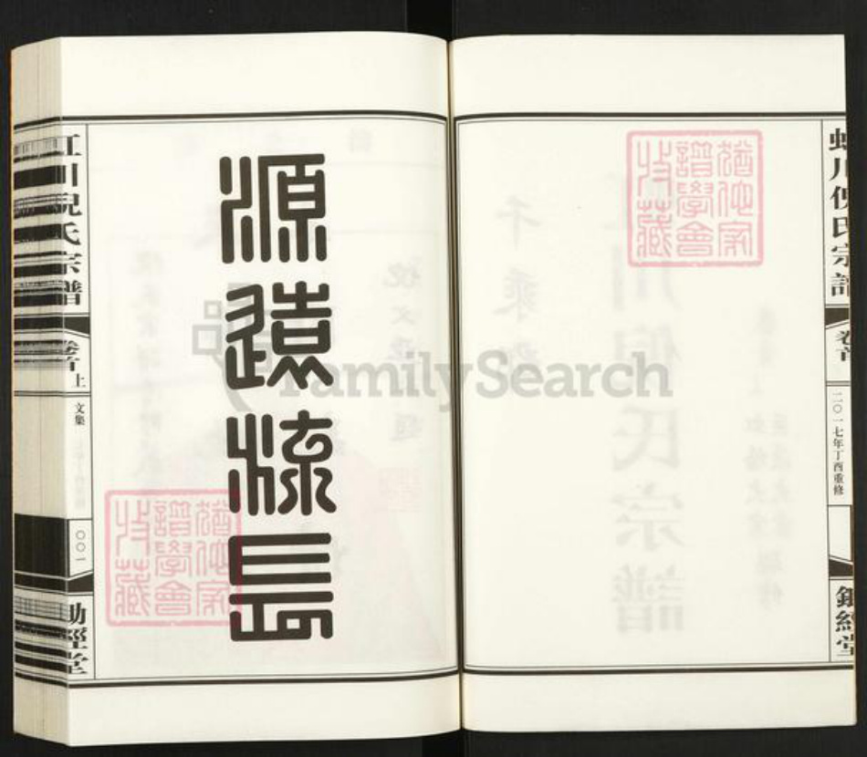 福建省莆田市倪氏锄经堂族谱-虹川倪氏宗谱.pdf电子版插图2