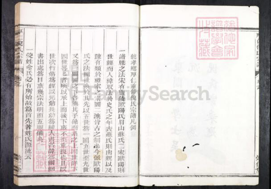 浙江省金华市兰溪市兰江街道倪氏崇仁堂族谱-厚仁倪氏宗谱.pdf电子版插图3