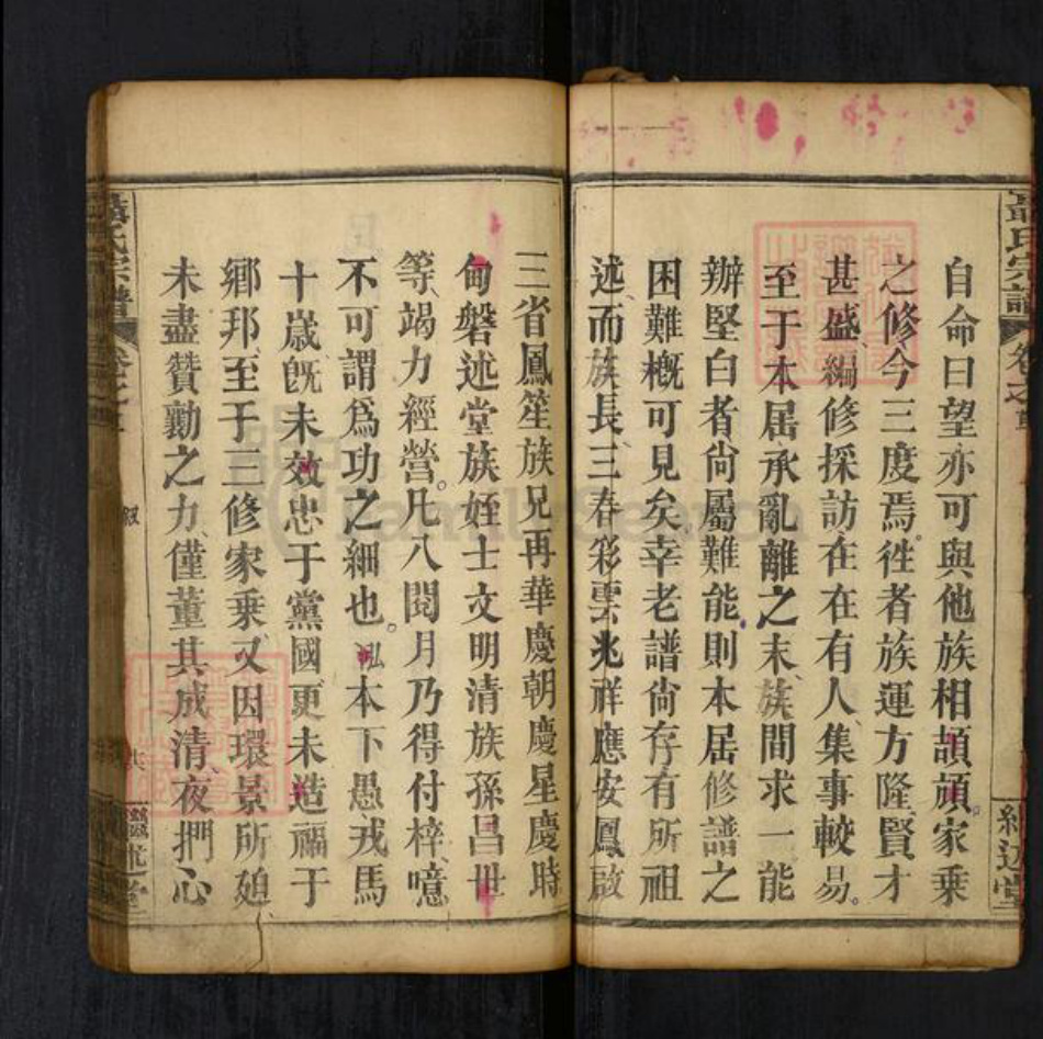 湖北省武汉市新洲区聂氏族谱-聂氏宗谱[15卷首4卷].pdf电子版插图2