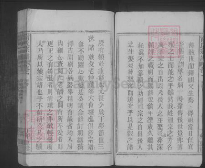 江西省九江市彭泽县宁氏族谱-宁氏宗谱 [5卷].pdf电子版插图5