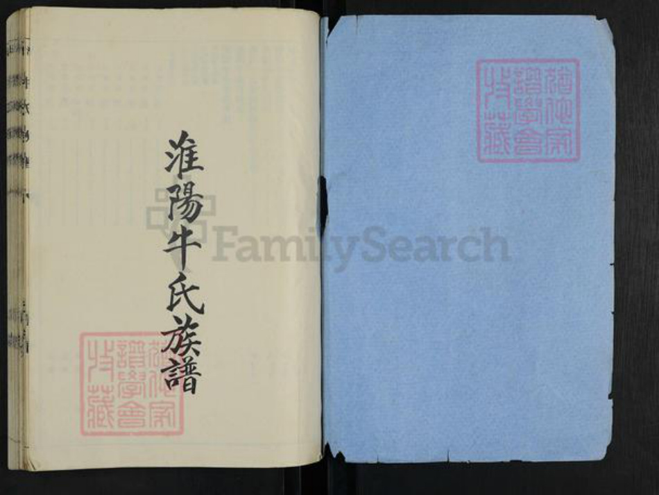 河南省周口市淮阳区牛氏族谱-淮阳牛氏族谱.pdf电子版插图1