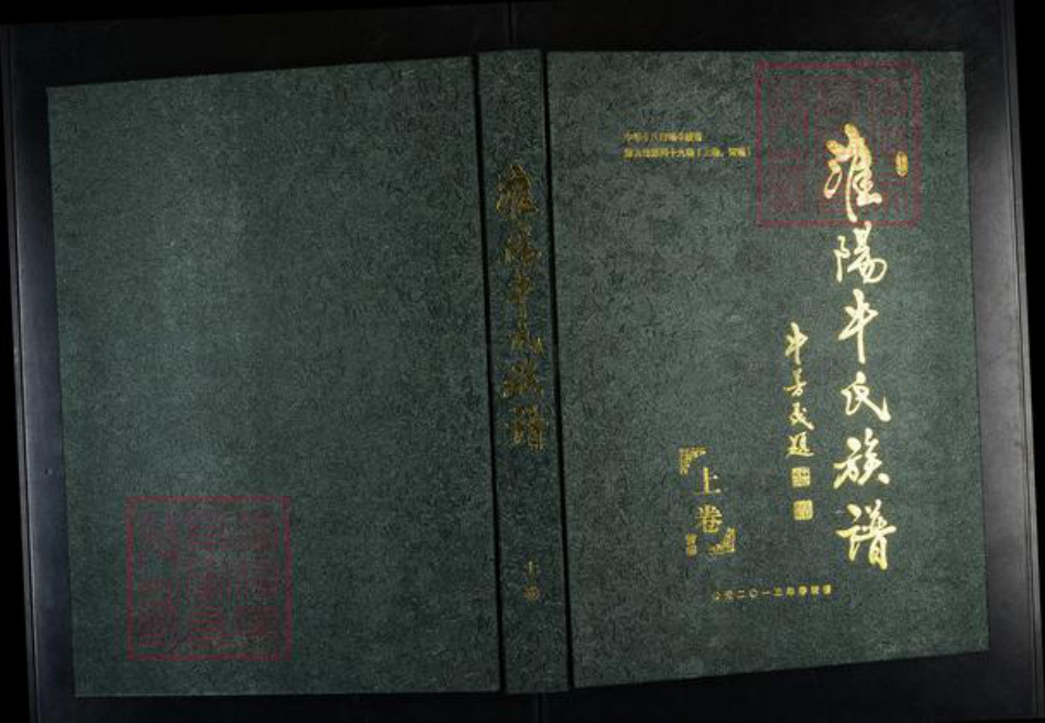 河南省周口市淮阳区新站镇牛氏族谱-淮阳牛氏族谱.pdf电子版插图