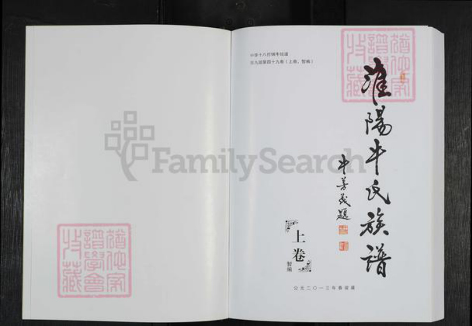 河南省周口市淮阳区新站镇牛氏族谱-淮阳牛氏族谱.pdf电子版插图2