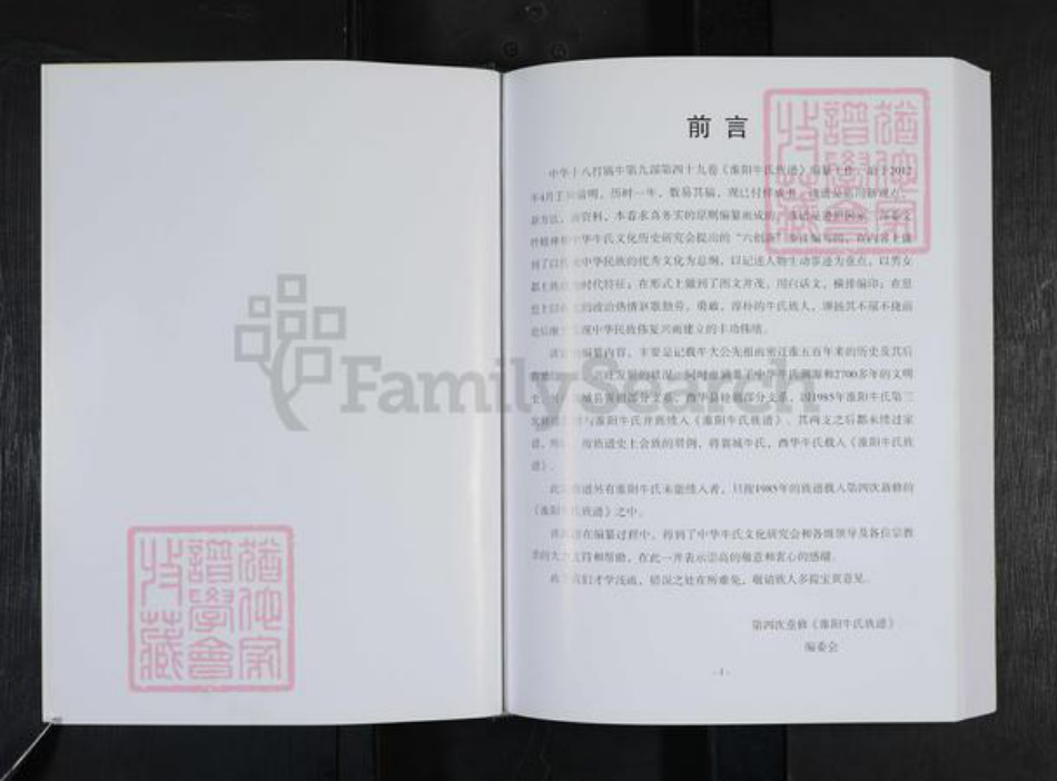 河南省周口市淮阳区新站镇牛氏族谱-淮阳牛氏族谱.pdf电子版插图3