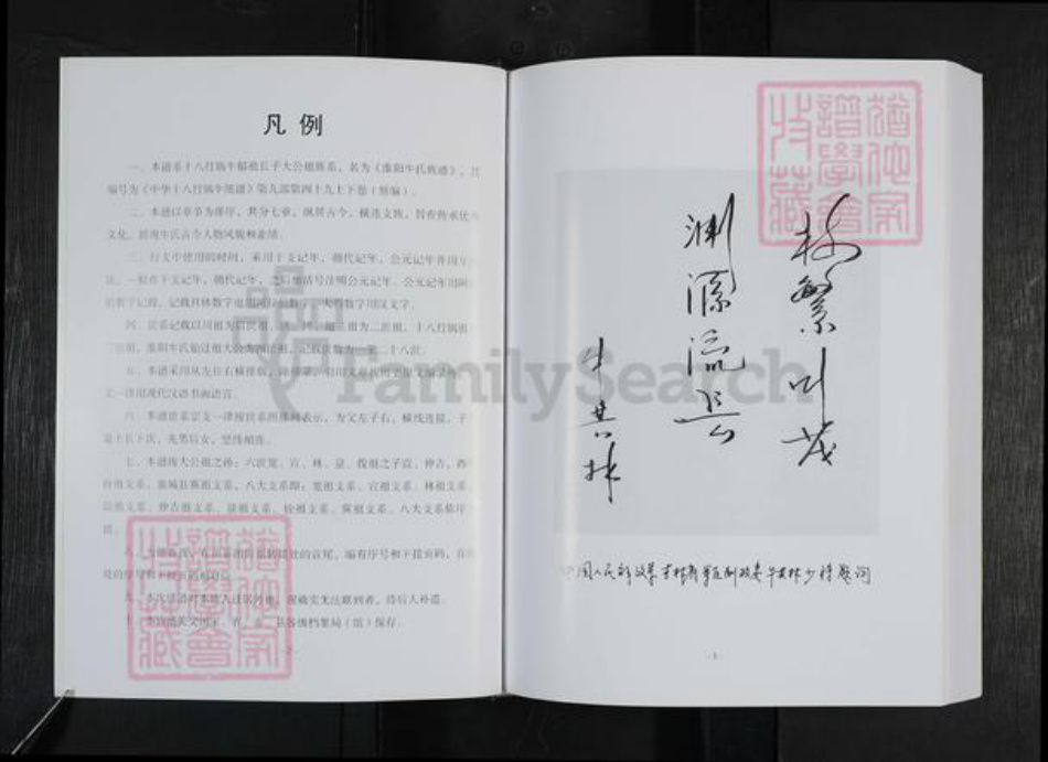 河南省周口市淮阳区新站镇牛氏族谱-淮阳牛氏族谱.pdf电子版插图4