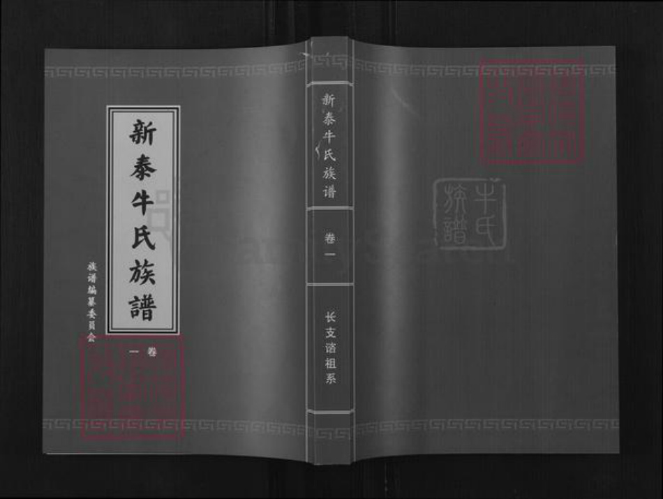 山东省泰安市宁阳县牛氏族谱-新泰牛氏族谱.pdf电子版插图