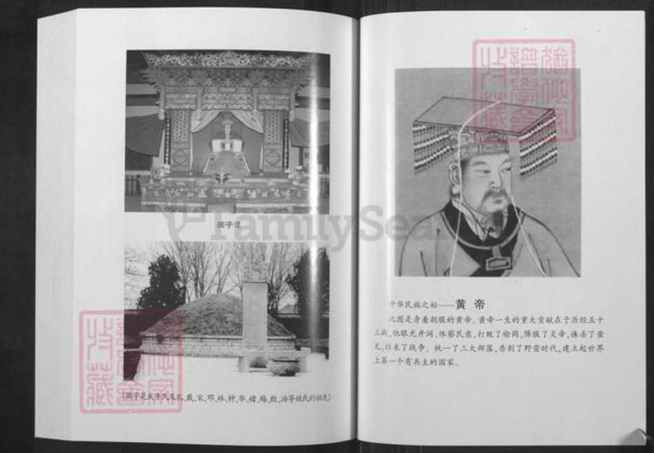 山东省泰安市宁阳县牛氏族谱-新泰牛氏族谱.pdf电子版插图3