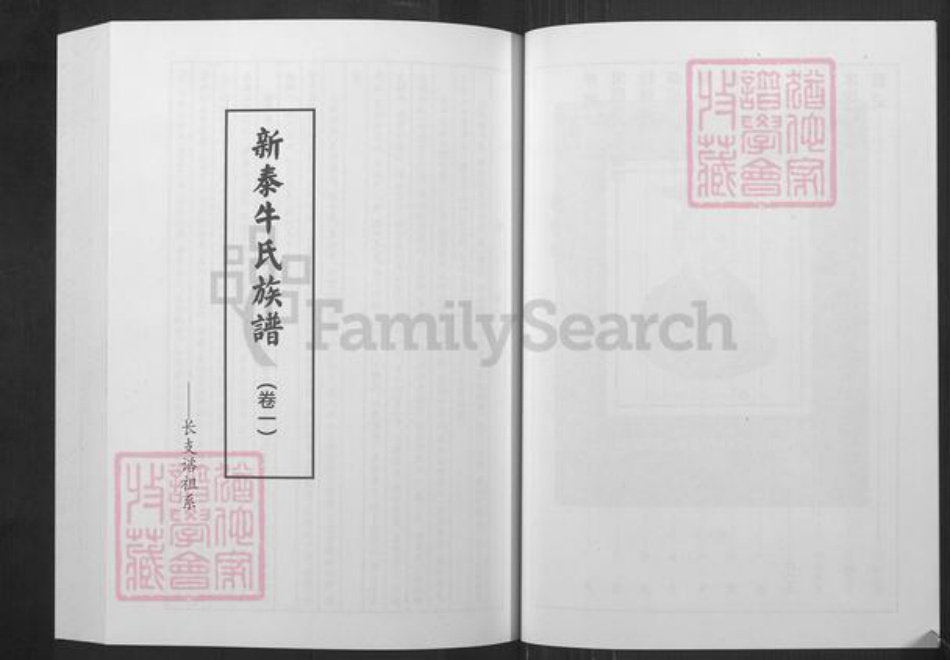 山东省泰安市宁阳县牛氏族谱-新泰牛氏族谱.pdf电子版插图5