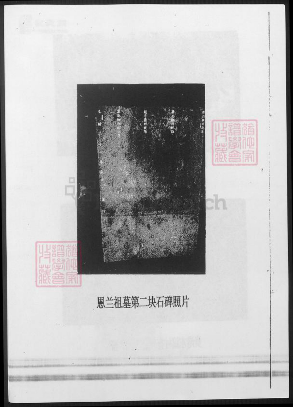 浙江省杭州市农氏族谱-浙江钱塘农姓史考.pdf电子版插图5