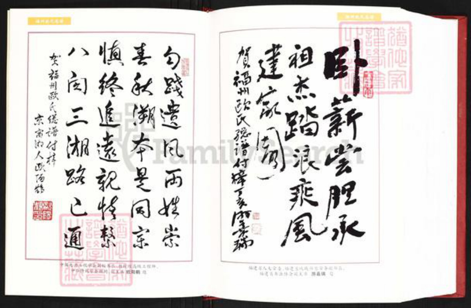 福建省福州市连江县东岱镇欧氏族谱-福州欧氏总谱.pdf电子版插图4