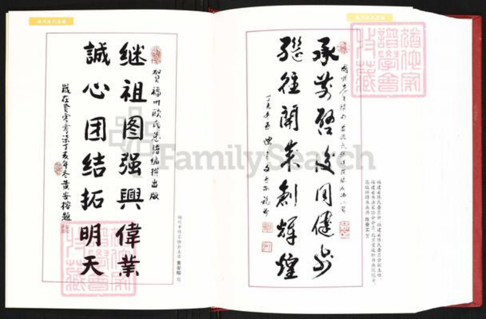 福建省福州市连江县东岱镇欧氏族谱-福州欧氏总谱.pdf电子版插图5