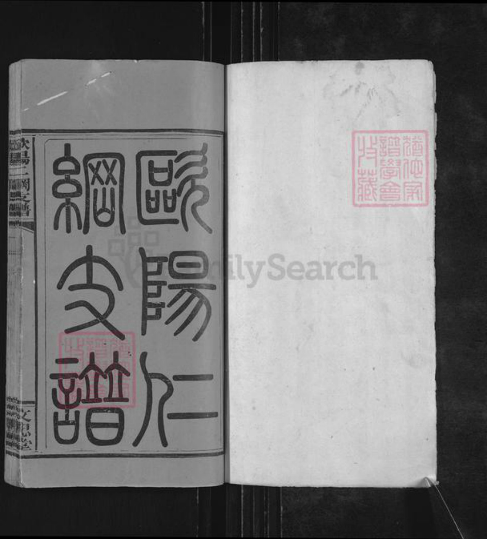 江西省萍乡市莲花县神泉乡欧阳氏文忠堂族谱-欧阳仁纲支谱.pdf电子版插图1